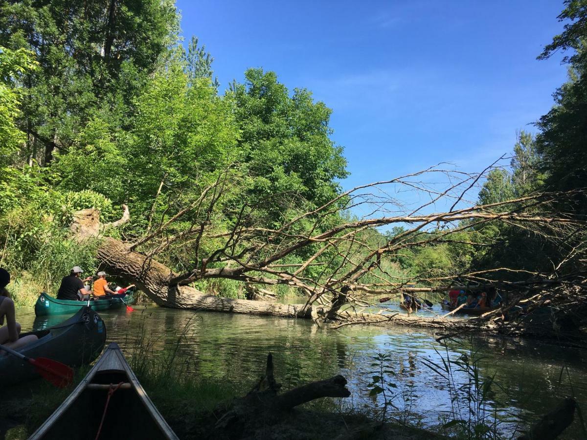 Donaupark Camping Tulln Тульн Экстерьер фото